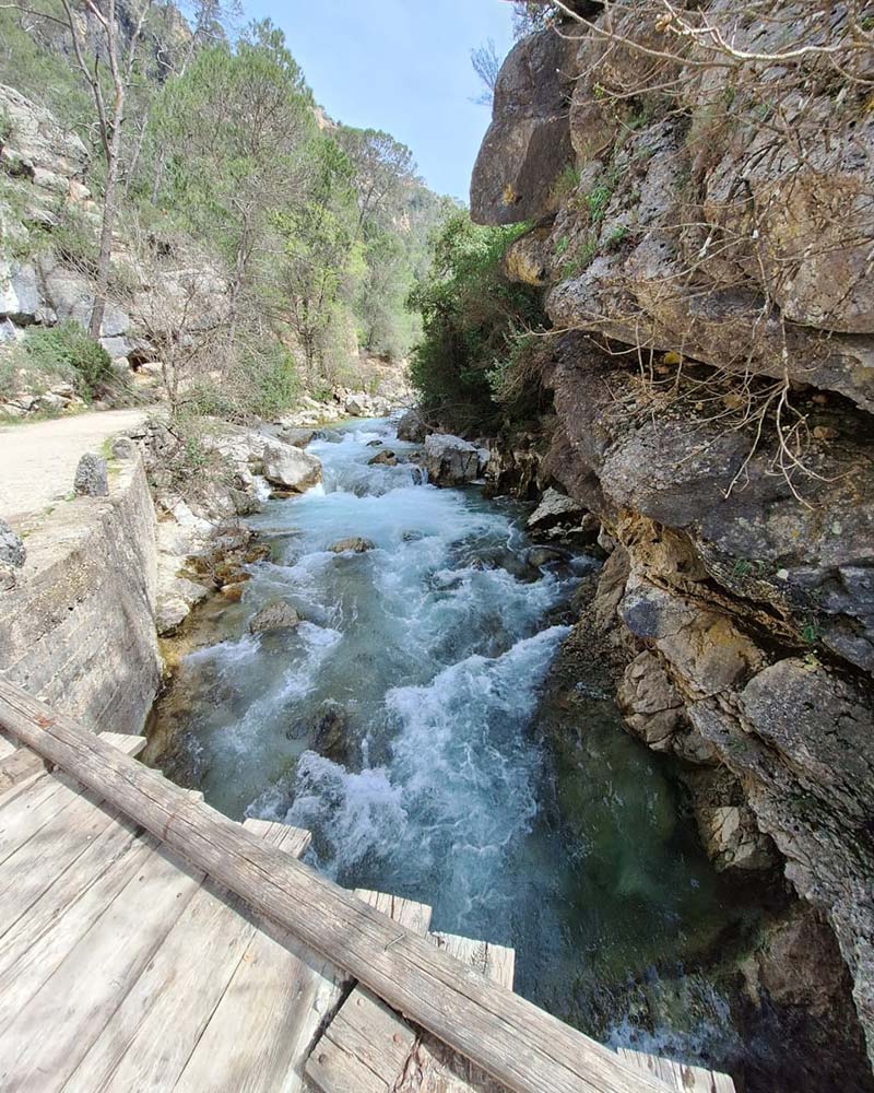 Parque Natural Sierras de Cazorla, Segura y Las Villas