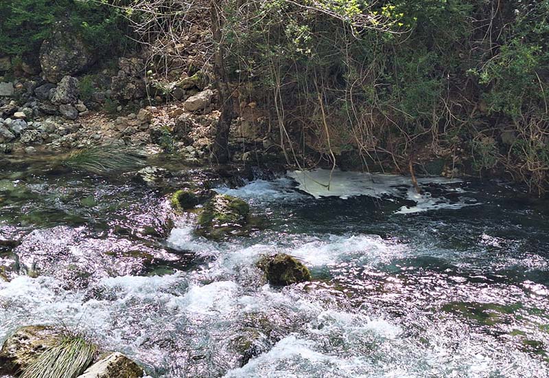 Parque Natural Sierras de Cazorla, Segura y Las Villas